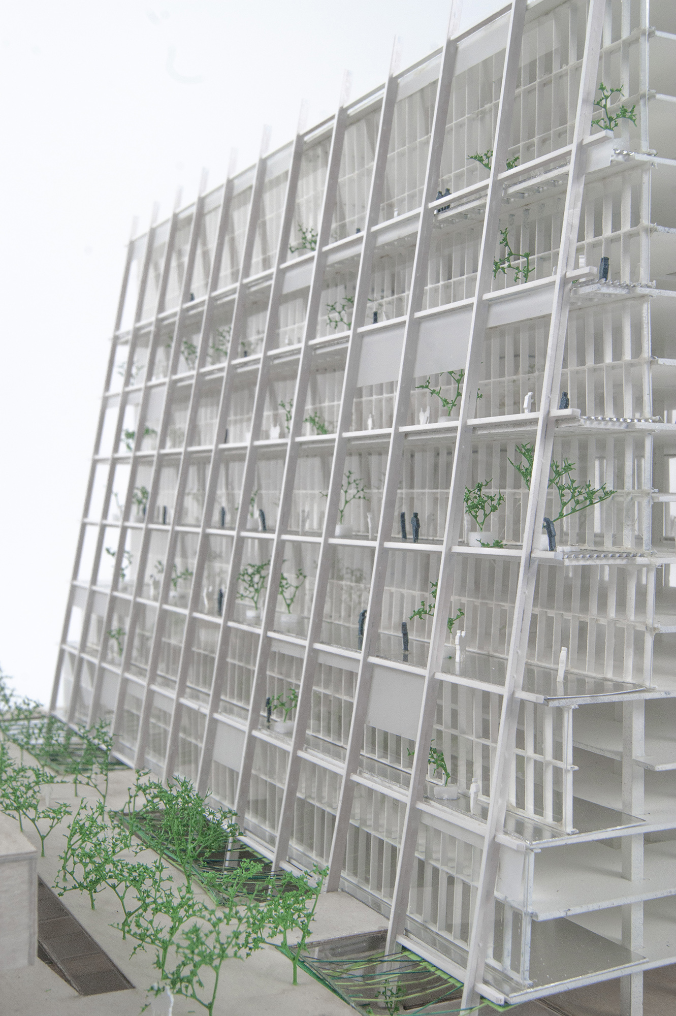 Montparnasse — Montparnasse